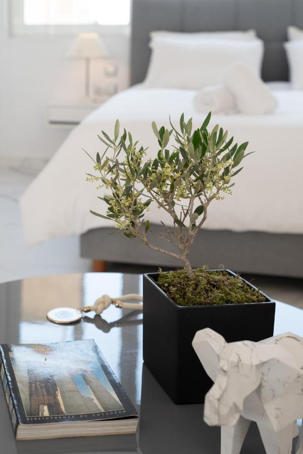 Olvar Suites Ateny Zewnętrze zdjęcie